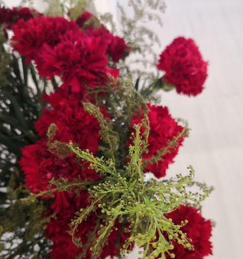 长寿的盘花及其寓意是什么？