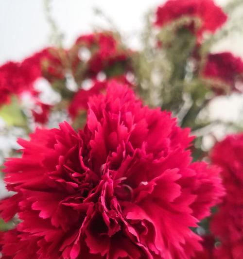 长寿的盘花及其寓意是什么？