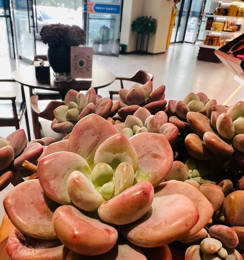 吾爱花坊传递了哪些信息？
