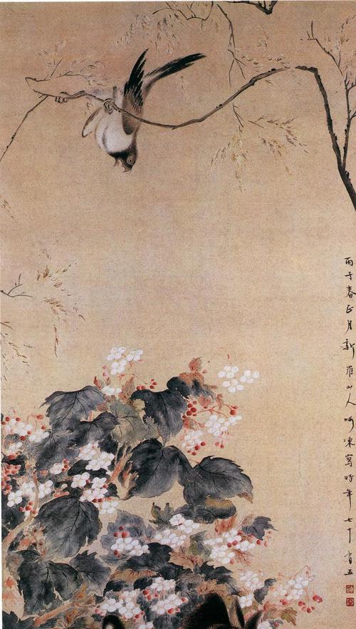 知己花兽的含义和象征意义是什么？