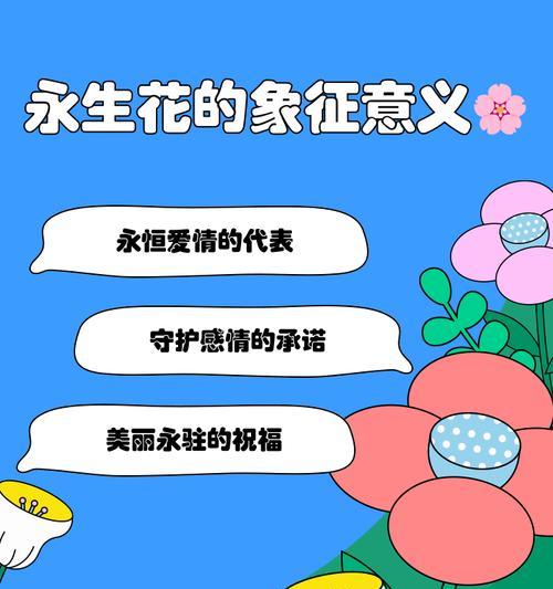 永生肥皂花的寓意是什么？永生花代表的永恒意义是什么？