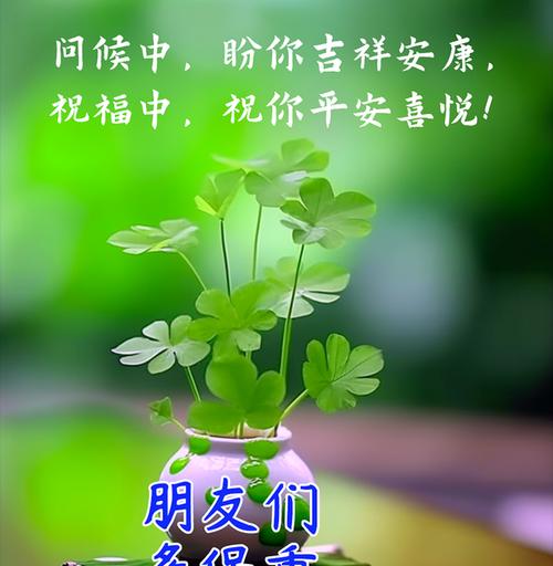 哪些花寓意平安健康开心？它们各自代表了什么意义？