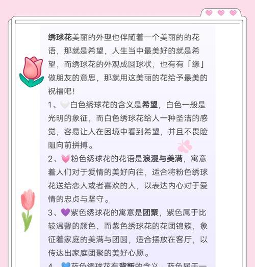 粉绣球花代表了什么？