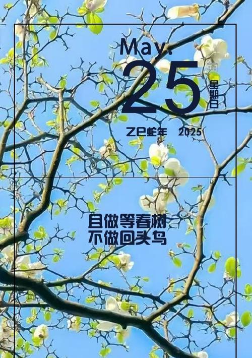 晨醒象征的花有哪些？它们各自代表什么意义？