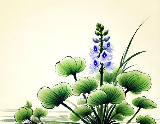 水生植物有哪些象征意义？