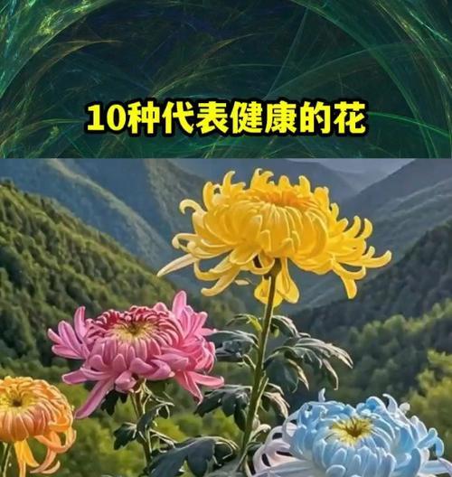 离婚时常见的花有哪些？它们象征着什么？