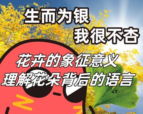 祝福花语的花卉有哪些？它们各自代表什么意思？