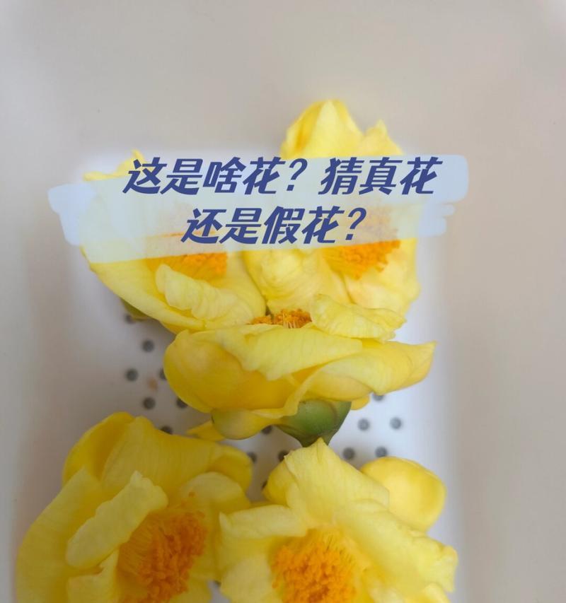 新人的假花寓意是什么？假花在不同文化中代表什么？