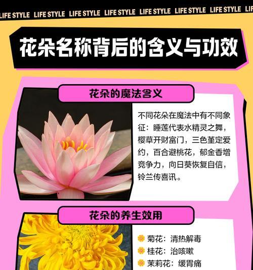 花语的故事有哪些？背后的故事是什么？