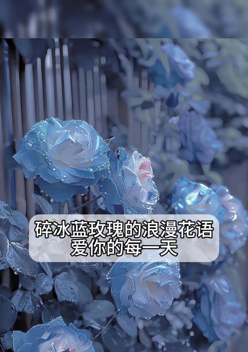 蓝色玫瑰花的表情含义和花语解释是什么？