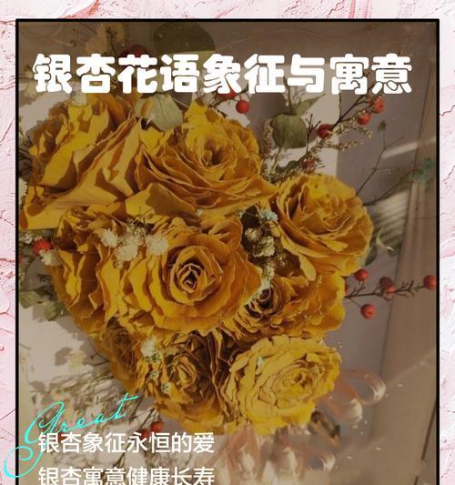 花语中有哪些象征意义？它们各自代表什么？