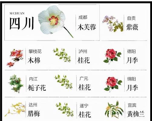 芙蓉花的花语独特在哪里？芙蓉花象征着什么？