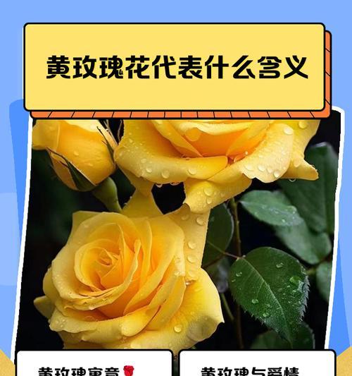 喜花的寓意是什么？如何用喜花来传递祝福？