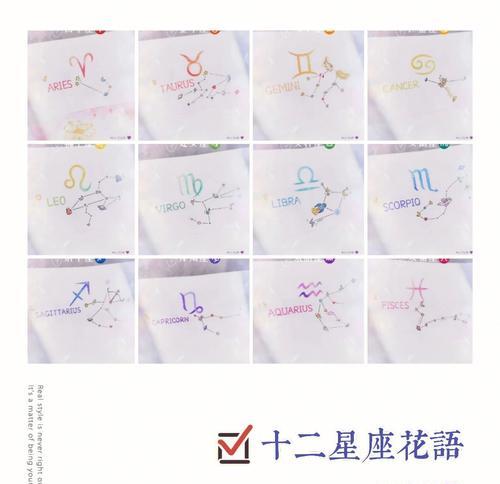十二月花语有哪些独特含义？十二月花语代表什么？