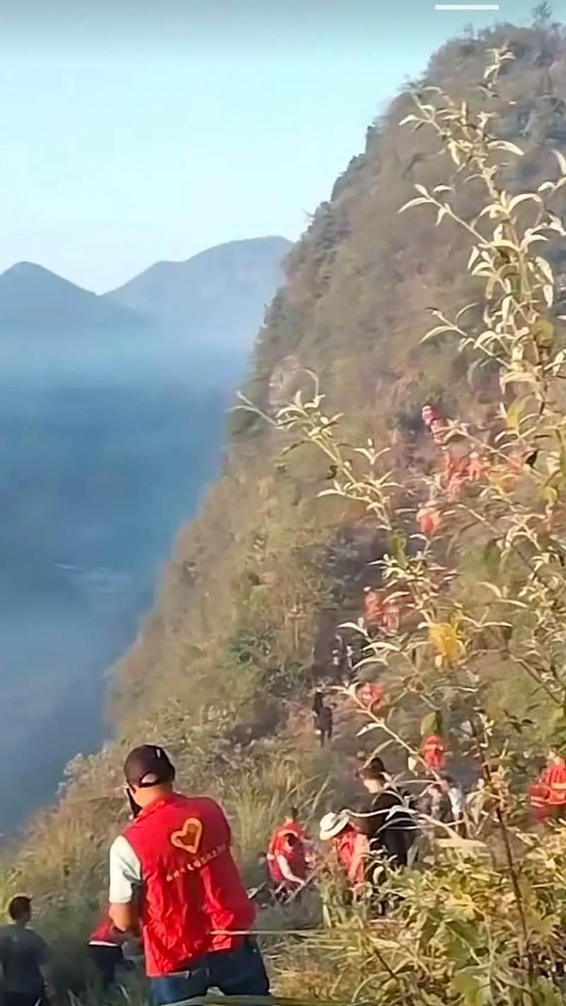 救人花象征救援和帮助的含义是什么？