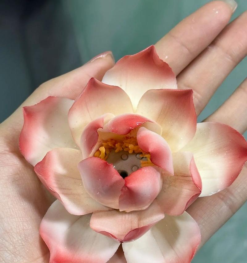 陶瓷上的花饰有何深意？陶瓷花饰的象征意义是什么？