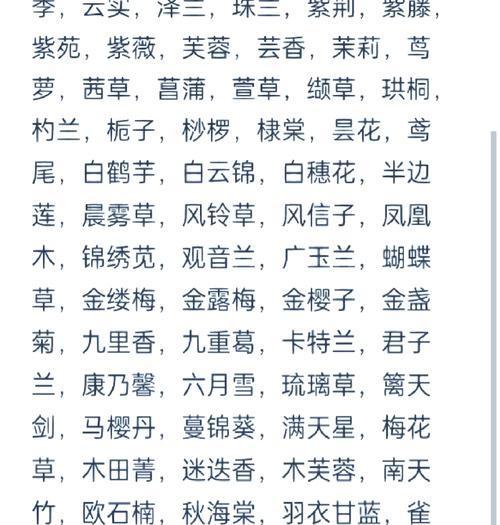 象征回来的花朵及其花名是什么？