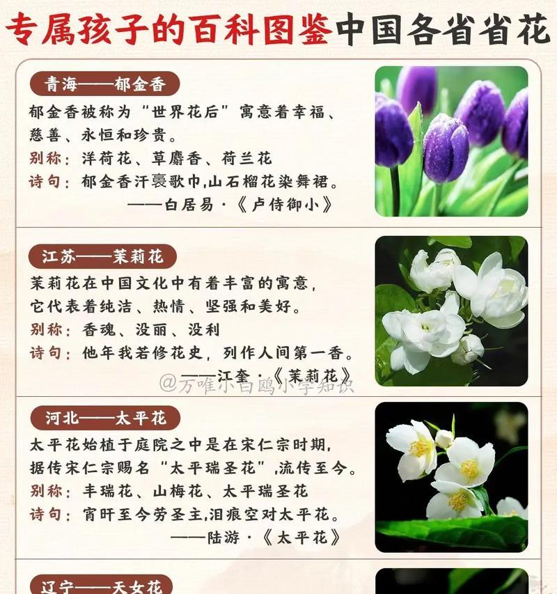 冰海蓝花代表什么含义？冰海蓝花的象征意义是什么？