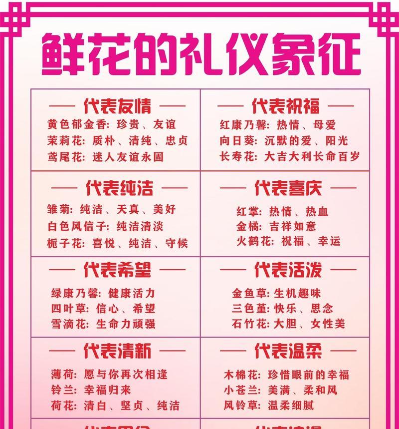 老婆花的含义是什么？