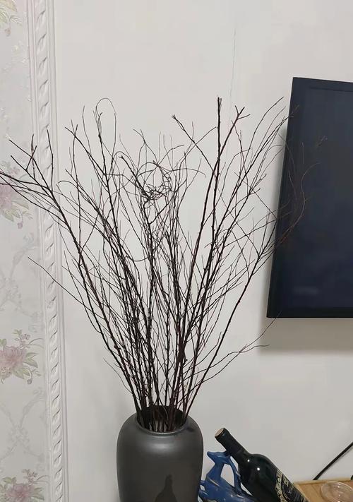干枝花中哪些寓意好？它们的象征意义是什么？