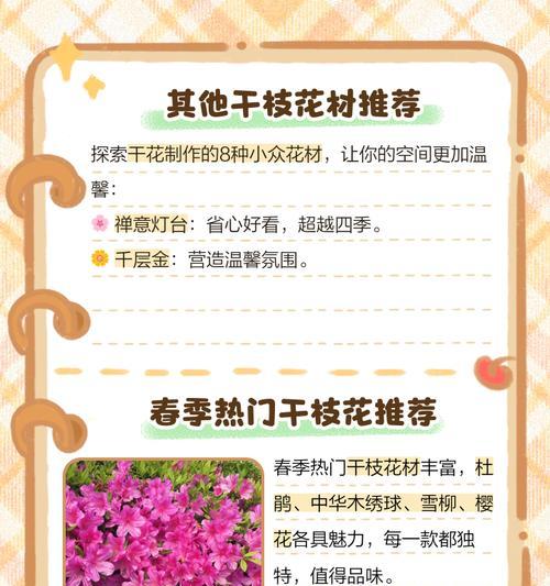 干枝花中哪些寓意好？它们的象征意义是什么？