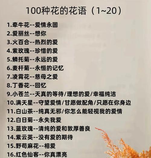 丁香花花语含义与象征意义