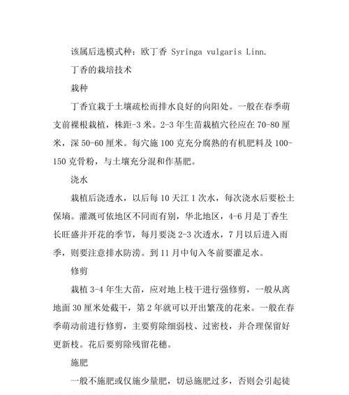 丁香花花语含义与象征意义