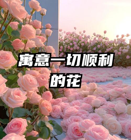 花象征意义与人思想的关联是什么？