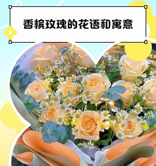 香槟玫瑰花语代表什么？象征了哪些意义？