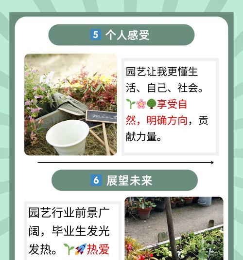 哪些花卉代表坚定和决心？它们在园艺中如何应用？
