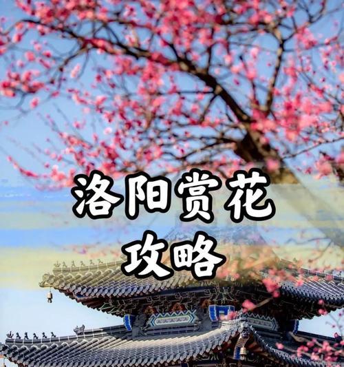 洛阳花似锦的深层含义是什么？