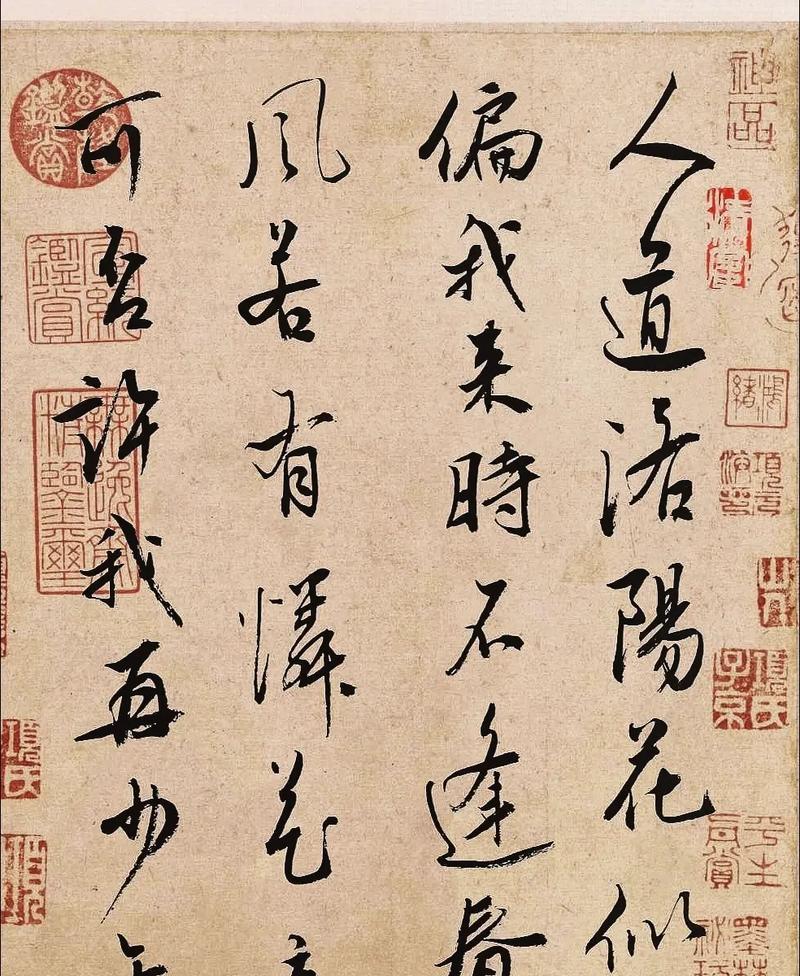 洛阳花似锦的深层含义是什么？