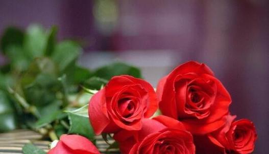 19朵玫瑰代表什么含义？花语背后的爱情故事是什么？