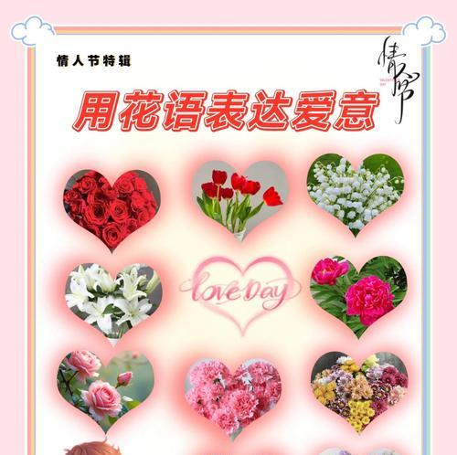 情人节送什么花最好？哪种花最能表达爱意？