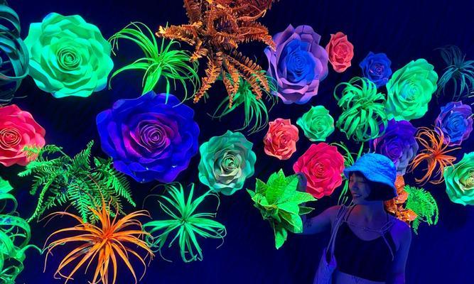 哪些花象征迷幻？探索花卉中的梦幻世界？