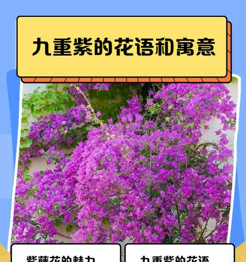 花穗的真正含义是什么？花穗在花语中象征着什么？