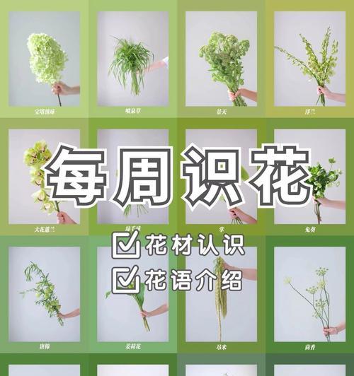 花穗的真正含义是什么？花穗在花语中象征着什么？