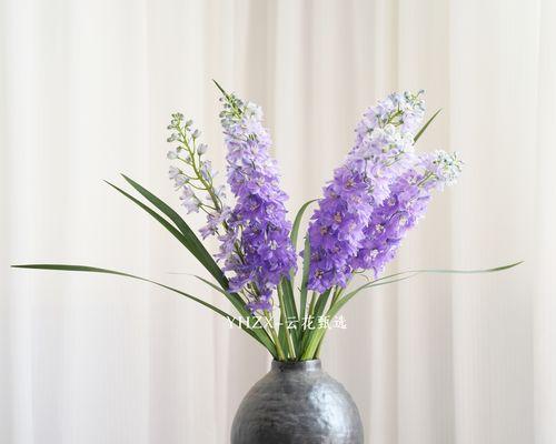 云花的寓意是什么？云花代表什么含义？