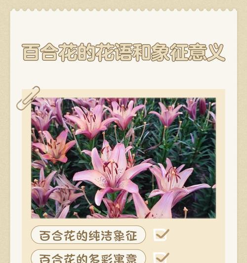 花表情的意义是什么？