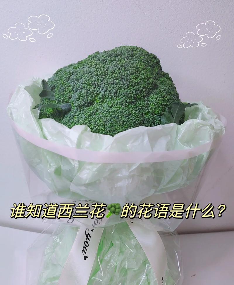 寓意健康和长寿吗？西兰花花语的健康寓意是什么？