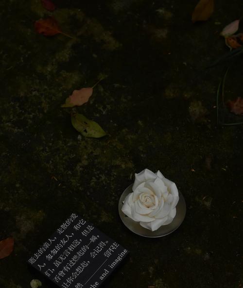 象征离开的花是什么？