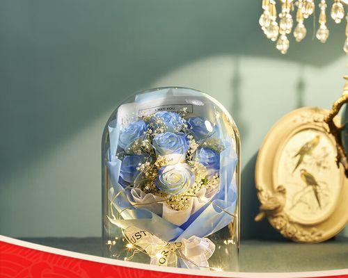 星辰大海花的含义是什么？星辰大海花象征着什么？