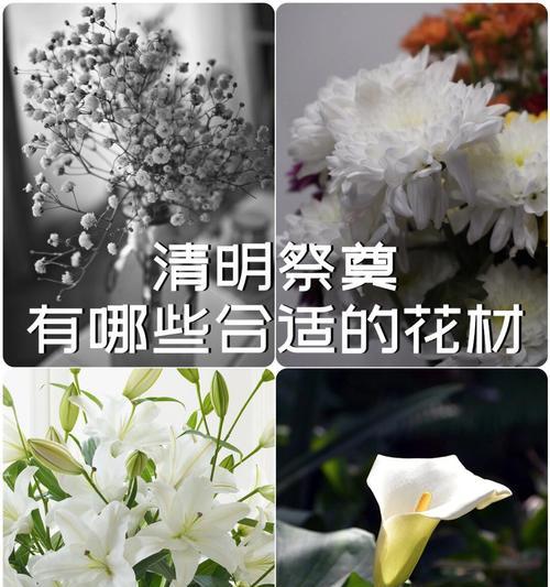 祭奠用花的花语象征是什么？