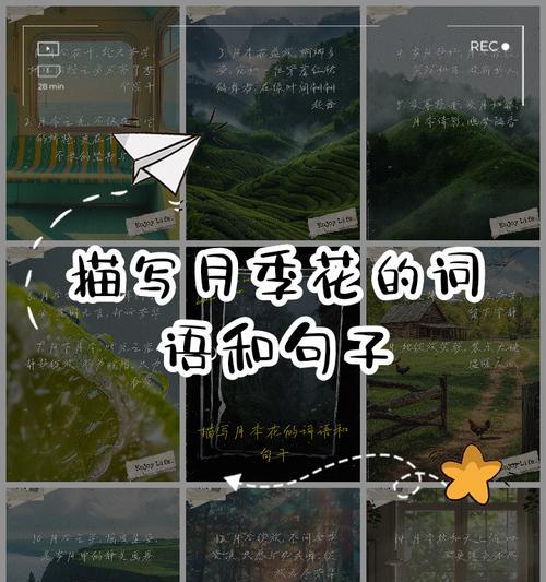 寓意是花的词语有哪些？花的寓意有哪些？