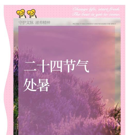 木槿花性格象征及其寓意是什么？