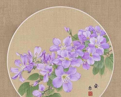 紫荆花象征着什么？它在传统中有哪些寓意？