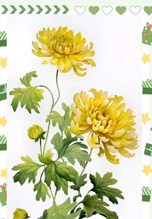 背叛的花语代表什么？花卉与情感的复杂关系。