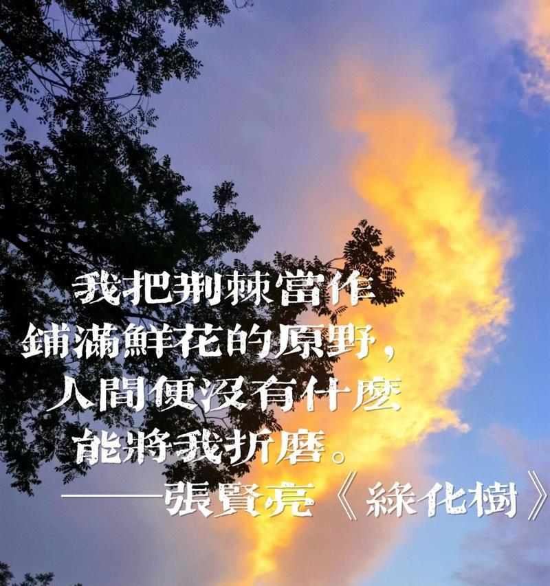 荆棘中花朵的深层含义是什么？