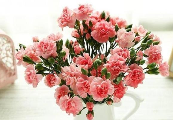 表达错过用什么花？错过花语代表的花是哪种？