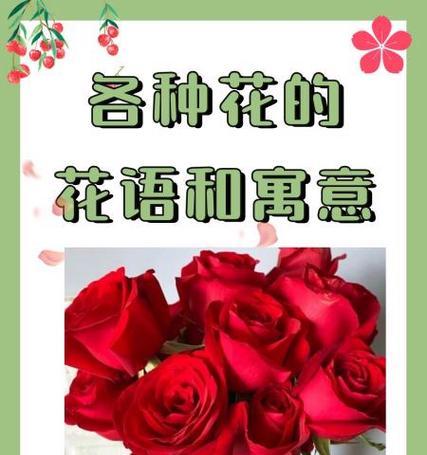 各种花的寓意和花语是什么？它们分别代表什么？